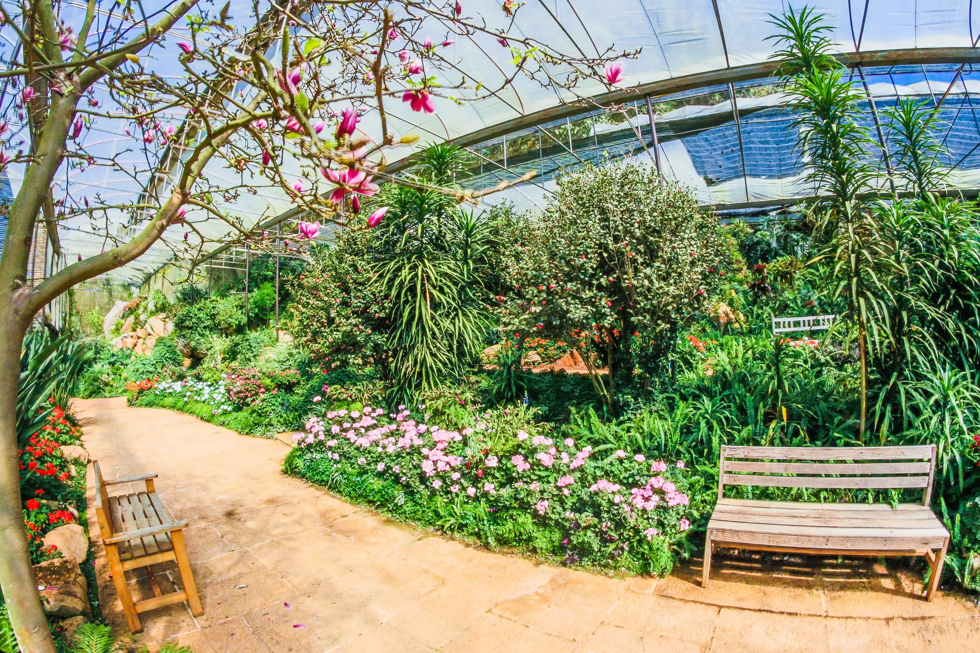 Održavanje zelenih površina Profesionalno održavanje površina u Petrijancu