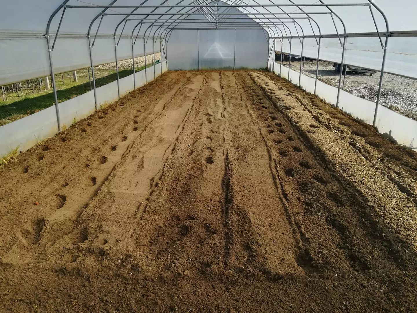 OdržavanjezelenihpovršinaKoprivnica3 OdržavanjezelenihpovršinaKoprivnica3