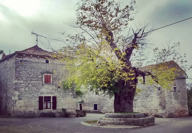 OpćinskatijelaMarčana