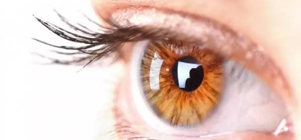 Operacija_mrene_Zagreb