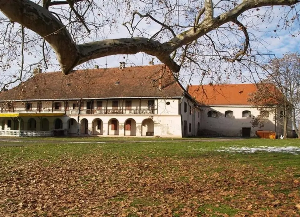 Lokalna samouprava i Općina Općina i lokalna samouprava Nuštar, Hrvatska