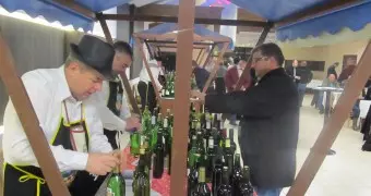 Organizacijakulturnihiturističkihdogađanja,Ludbreg2