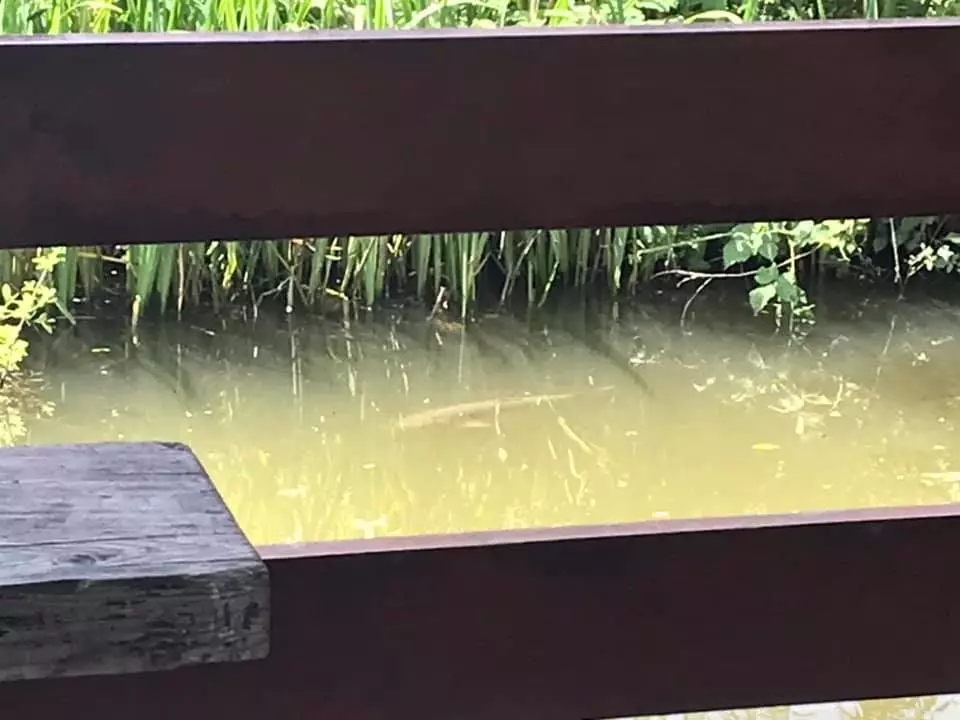 OrganiziranjeribolovnihnatjecanjaDubravaZabocka1