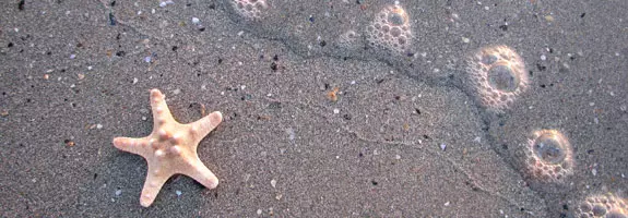 OsnovnaekoškolaOkrugGornji1 OsnovnaekoškolaOkrugGornji1