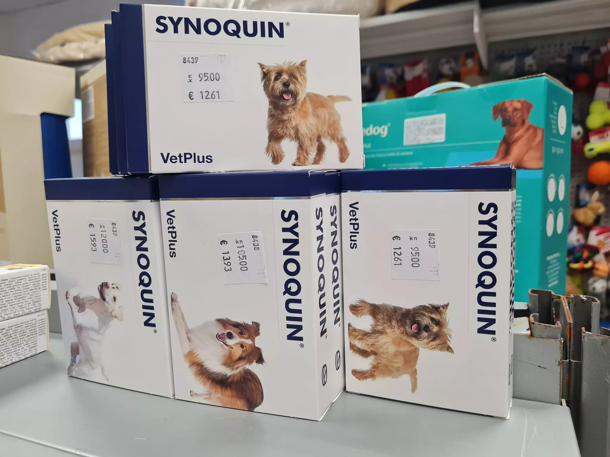 Prodaja pribora za kućne ljubimce i kućnih ljubimaca Prodaja kućnih ljubimaca i pribora za kućne ljubimce Dubrovnik, Hrvatska