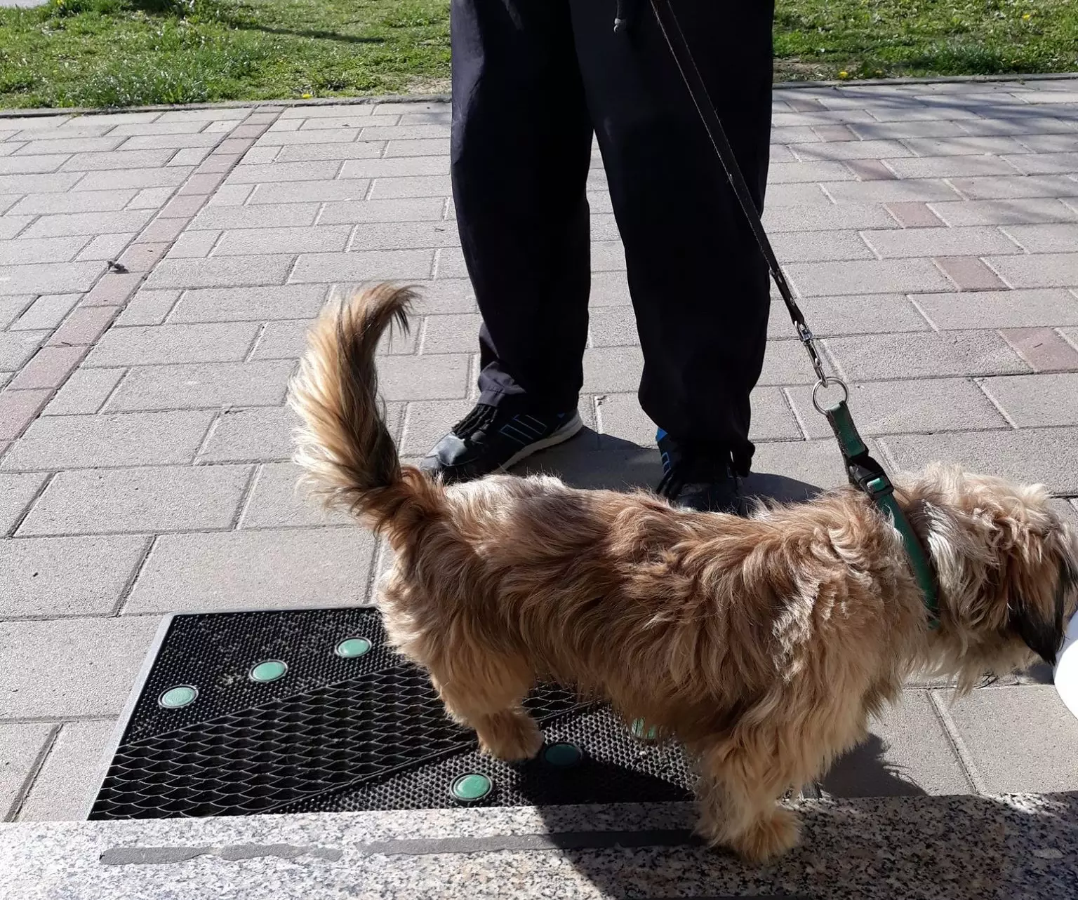 Grooming studio u Zaprešiću, RH