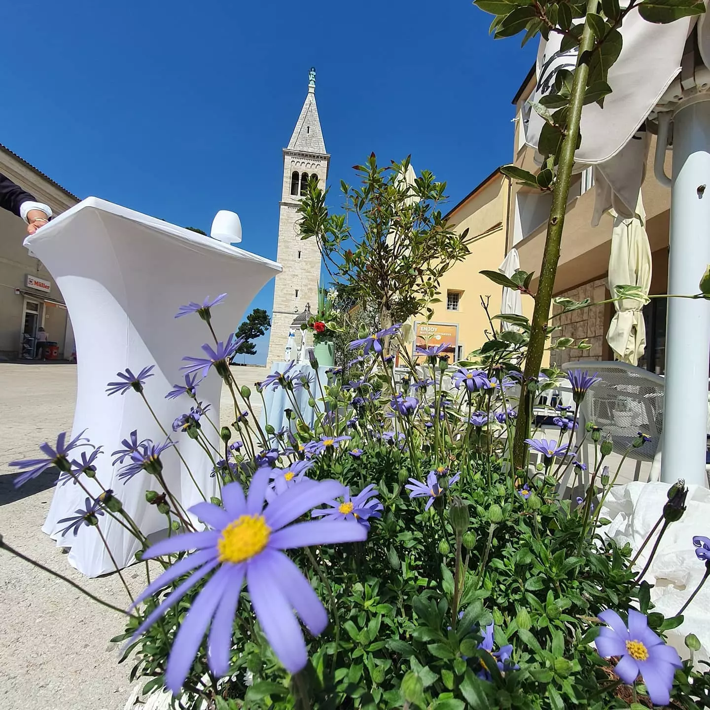 Caffe & cocktail bar u Novigradu, Hrvatska