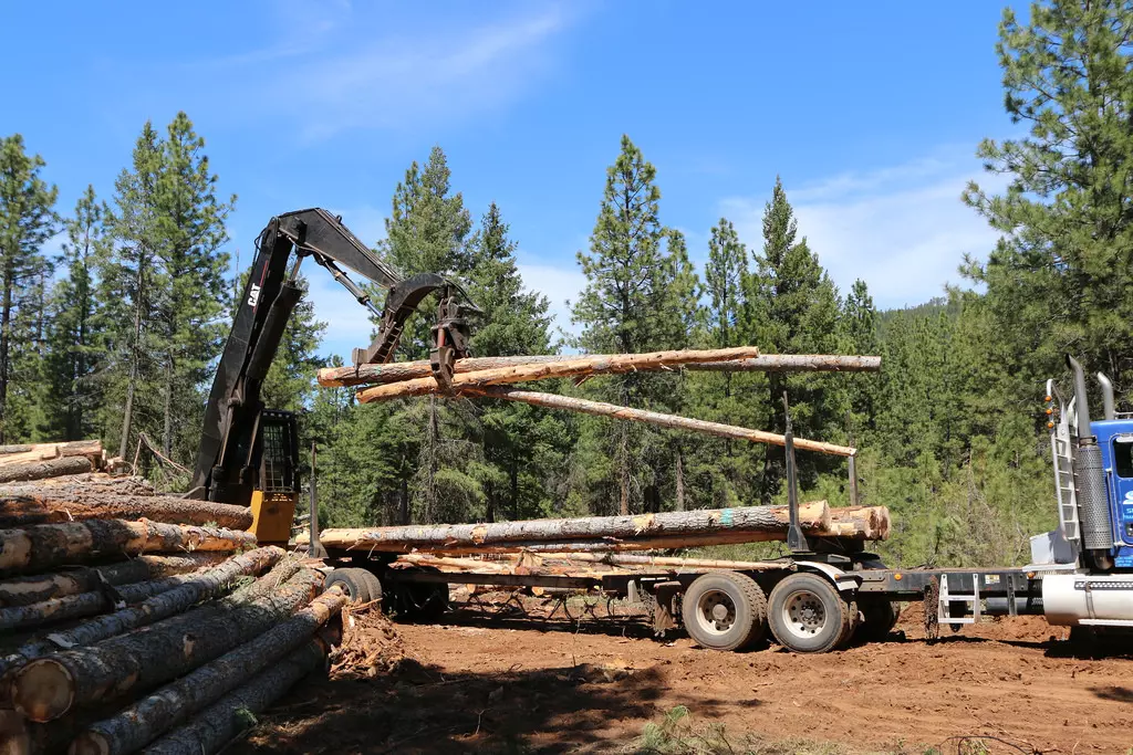 Pilanaibrodskipodovitedrvozaogrjev,Cestica,Varaždin