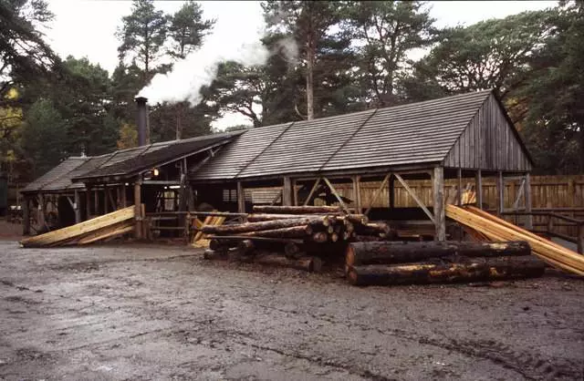 PiljenjetrupacaidrvaizradadrvenihelemenataSisak1