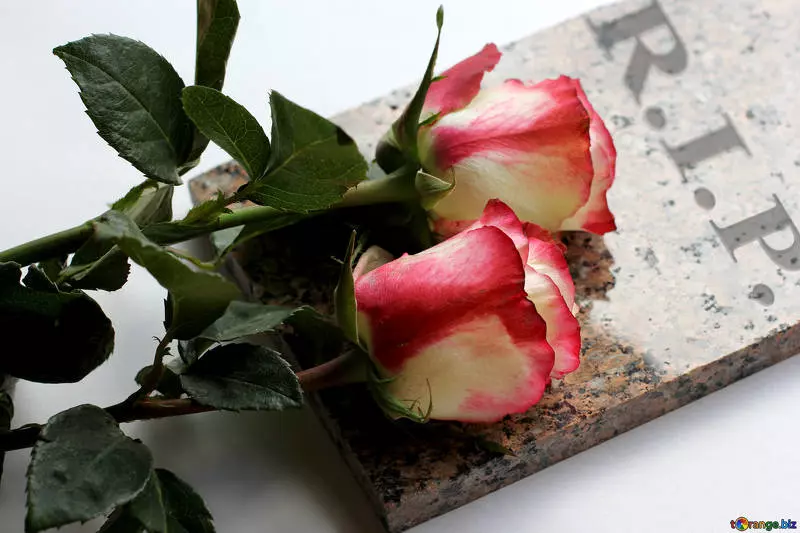 Pogrebne_usluge_i_cvjećarstvo,Sv