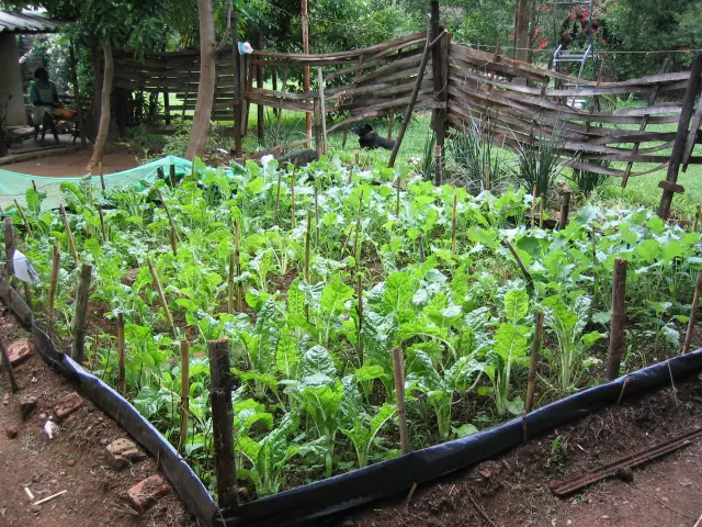 PoljoljekarnaDugopolje3