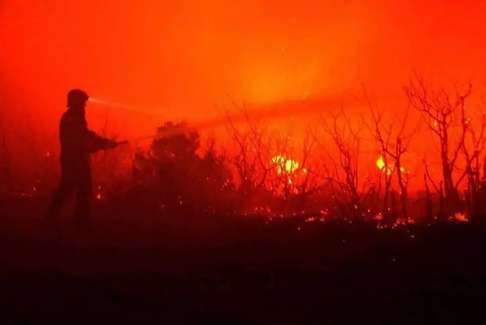 požar Pomoć kod elementarnih nepogoda u Pakracu