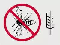 Popravaksvihvrstapaleta,Sesvete,Zagreb