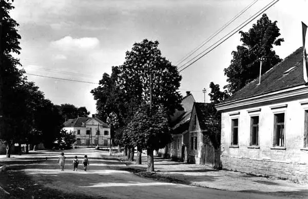 Povijesno,zdravstvenoigospodarstvenosredište,Vinica