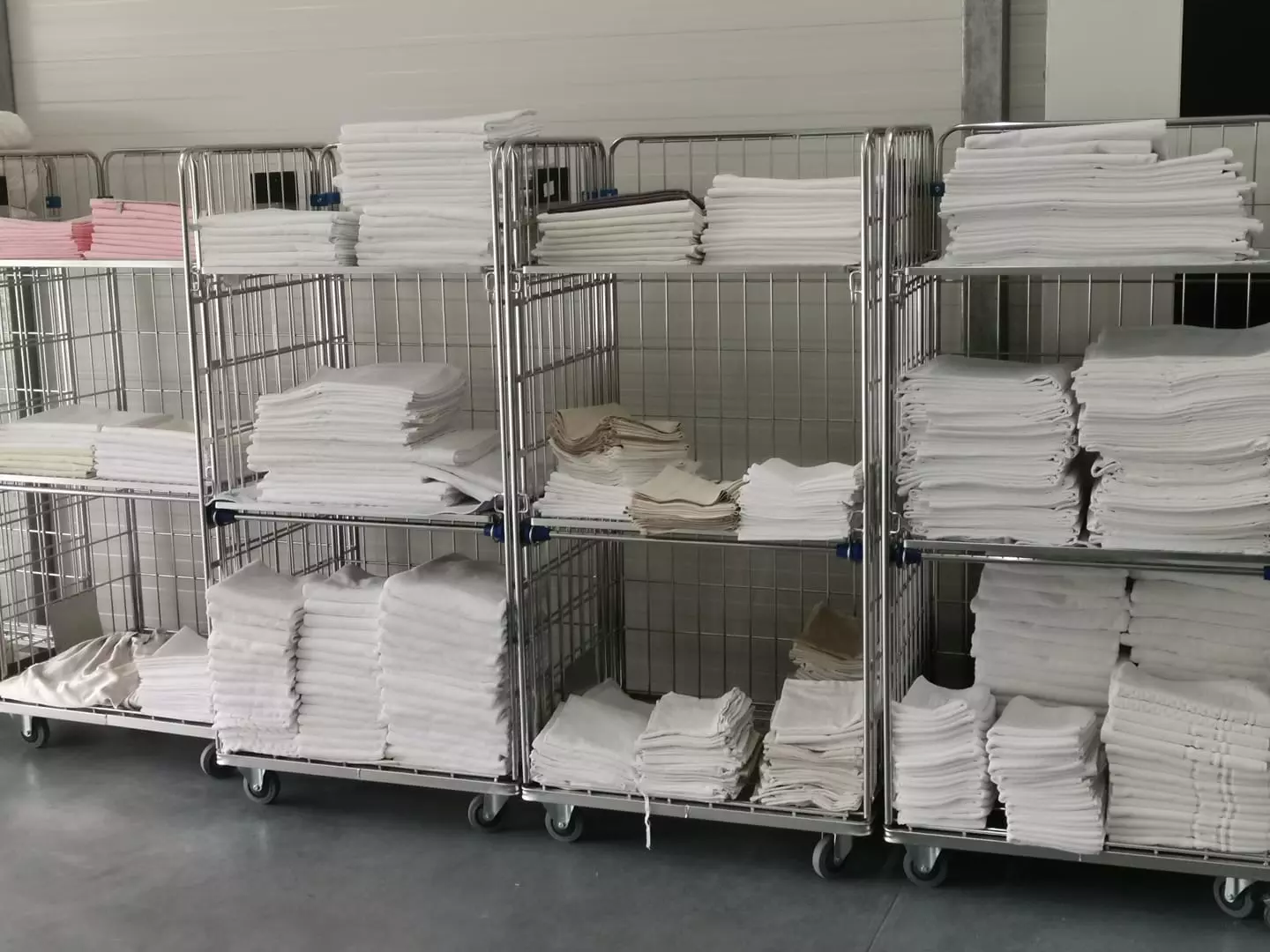 PraonicarubljaLučko2