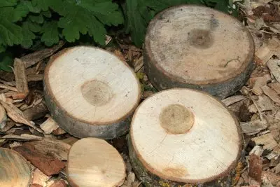 Preradadrvnesječkeiprodajahumuszemlje,gnojuvrećamaZagreb,Hrvatska5