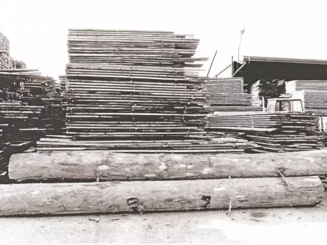 Preradafrizeielemenataoddrvaifosne,Hrvatska Preradafrizeielemenataoddrvaifosne,Hrvatska