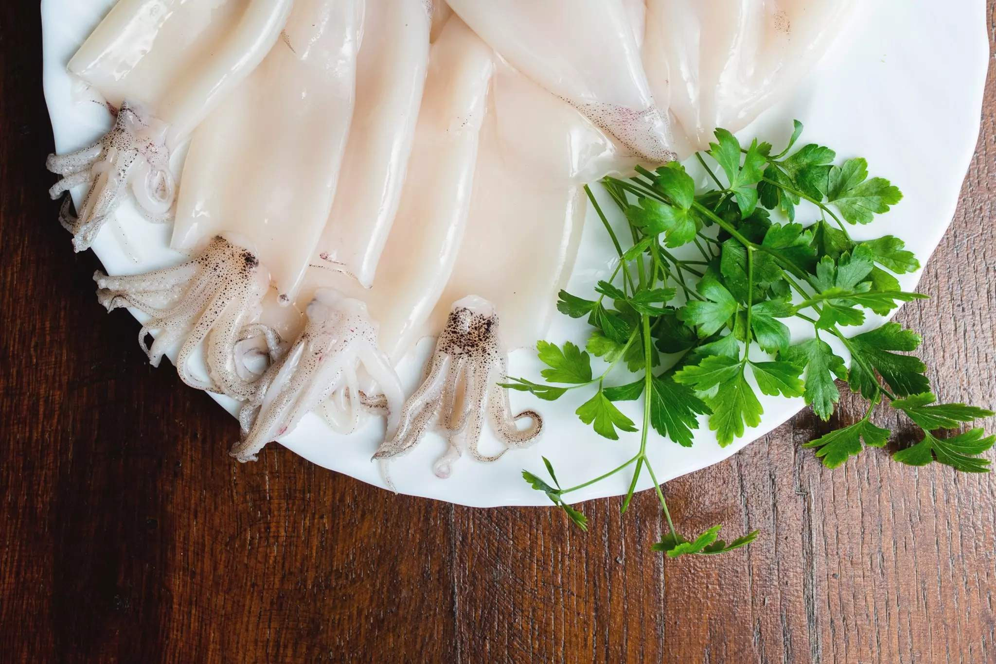 Prerada ribe u gradu Vinkovcima, Hrvatska