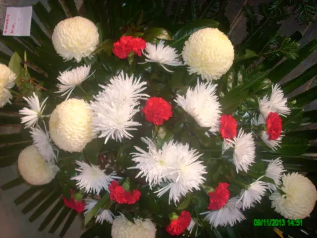 Prijevoz pokojnika, pogreb Prijevoz pokojnika Čakovec, Hrvatska