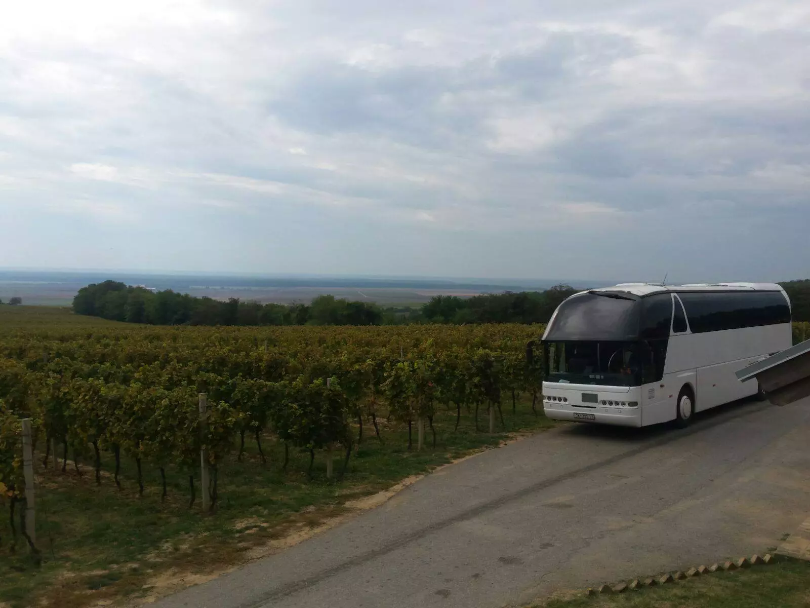 Prijevozi autobusom Prijevoz putnika autobusom Novo Selo Palanječko