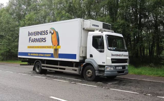 Prijevoz robe tereta hladnjačom Prijevoz tereta i robe hladnjačom u gradu Desiniću, Hrvatska