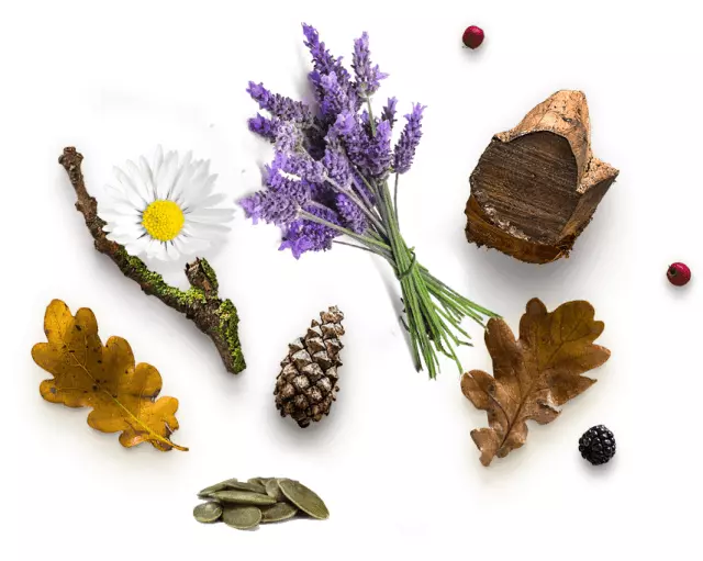 PrirodnouljezanjegukožeDonjiKraljevec,Međimurje1 PrirodnouljezanjegukožeDonjiKraljevec,Međimurje1