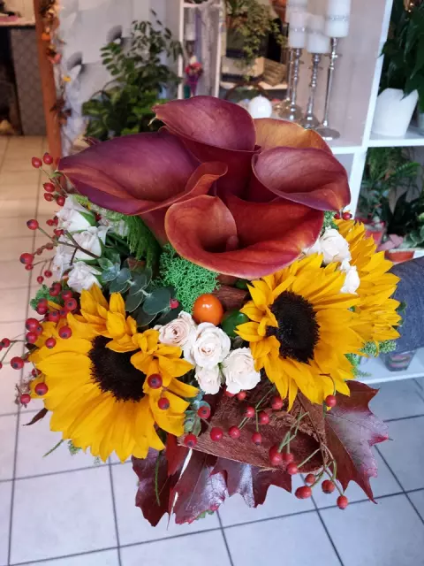 PriručnibuketiIvanec