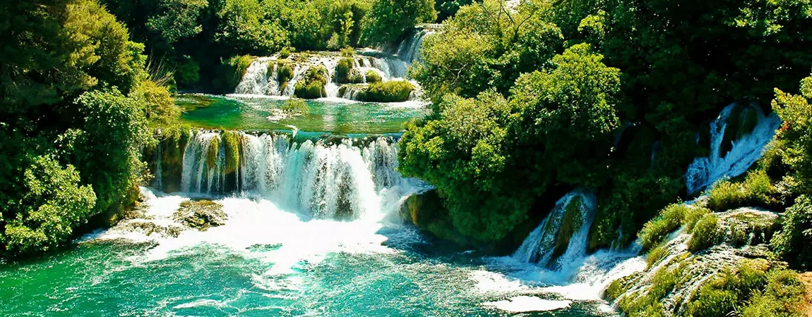 Private_tours_for_best_individual_approach Private_tours_for_best_individual_approach