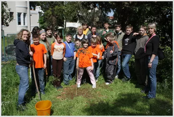 Privatnaosnovnaškolaigimnazija,Pula3