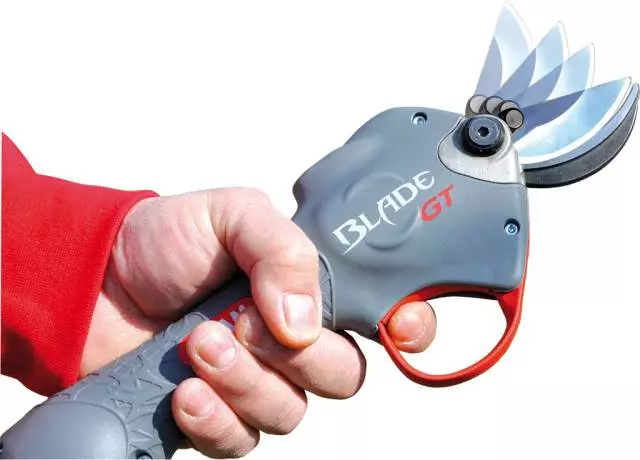 ProdajadrvnogivrtnogprogramaPazin4