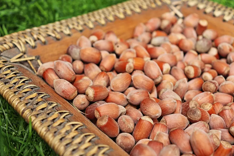 ProdajaekolješnjakaZagreb2 ProdajaekolješnjakaZagreb2