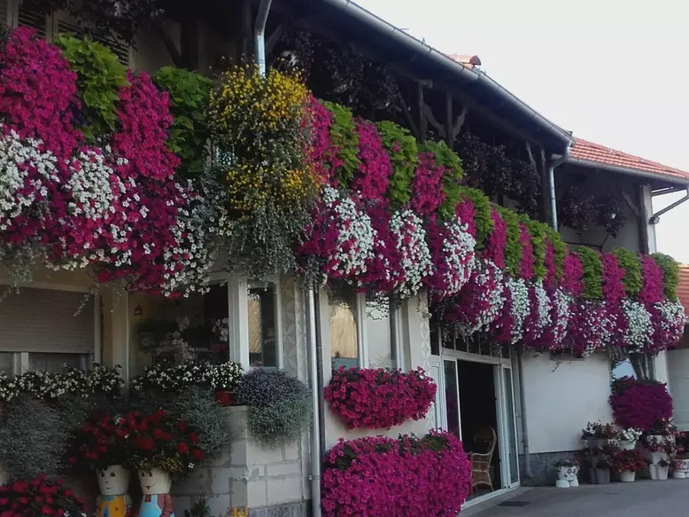 ProdajaiproizvodnjacvijećaVelikiBukovec,Hrvatska2 ProdajaiproizvodnjacvijećaVelikiBukovec,Hrvatska2