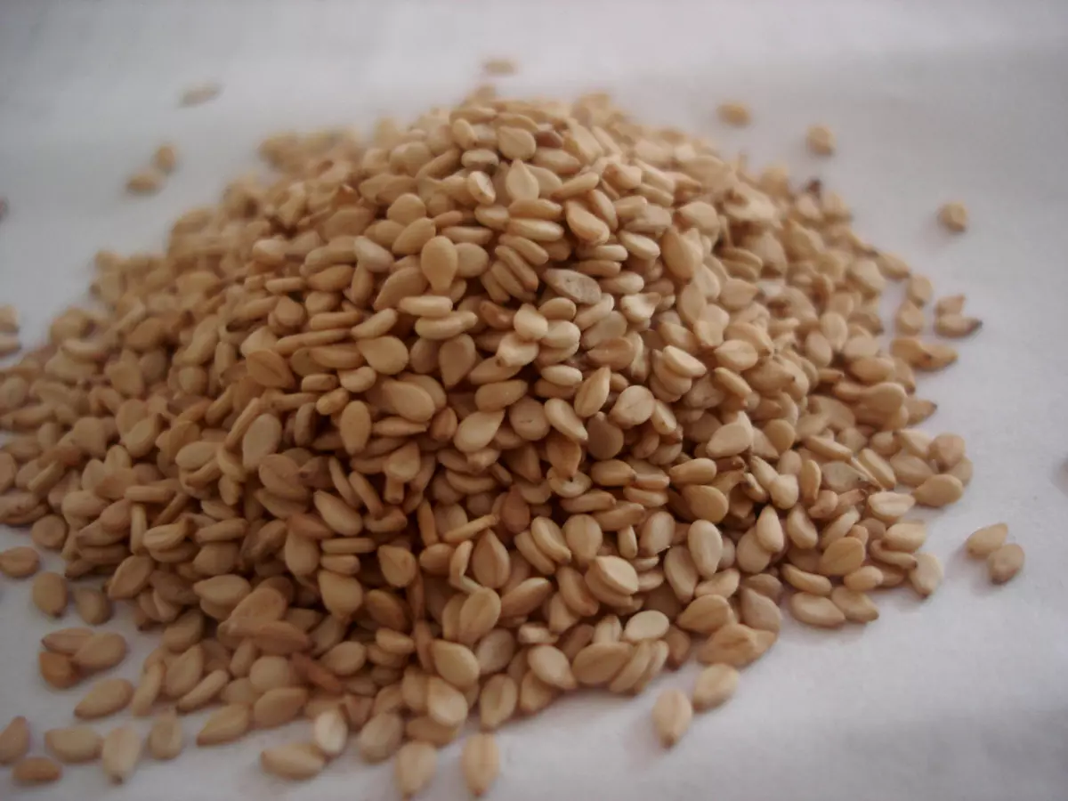 Prodajakukuruza,pšeniceisojeVukovarsko-srijemskažupanija4