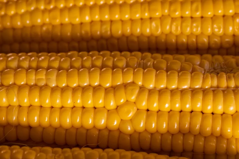 Prodaja pšenice, soje, kukuruza, Čakovci, Vukovarsko-srijemska