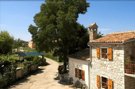 Prodajakvalitetnihipovoljnihvina,najamapartmana,Fažana,Pula