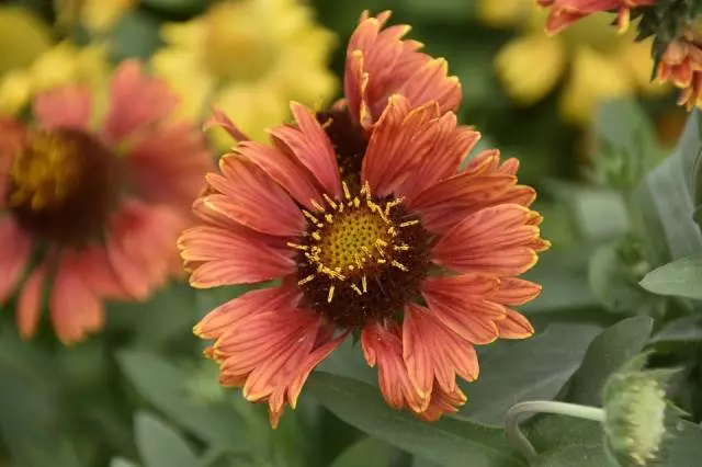 ProdajaljetnicaitrajnicaZagreb,Krapina,Hrvatska4