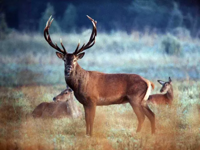 ProdajalovačkegalanterijeuzopremuzaloviribolovPožega,Požeško-slavonskažupanija ProdajalovačkegalanterijeuzopremuzaloviribolovPožega,Požeško-slavonskažupanija