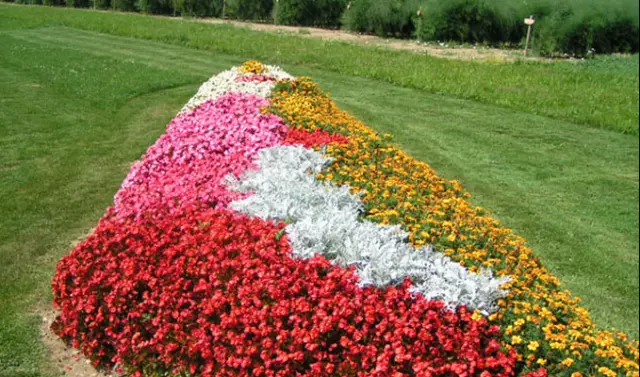 Prodajapoljoprivredneopreme,DugaResa2