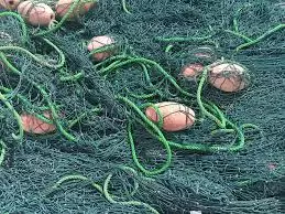 Prodajaribenavelikoiriba,Primorsko-goranskažupanija1