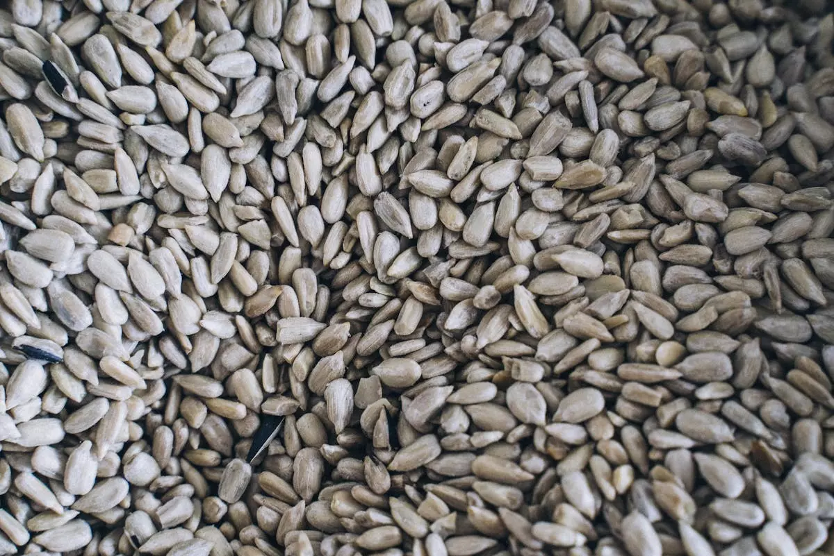 Prodaja sjemenskog i sadnog materijala u Sarajevu, BiH