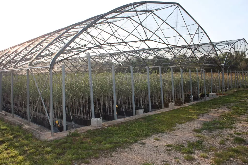 Prodajasvihvrstabiljaka,Rovinj3 Prodajasvihvrstabiljaka,Rovinj3