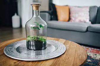 ProdajaukrasazakućanstvoLipovljani2