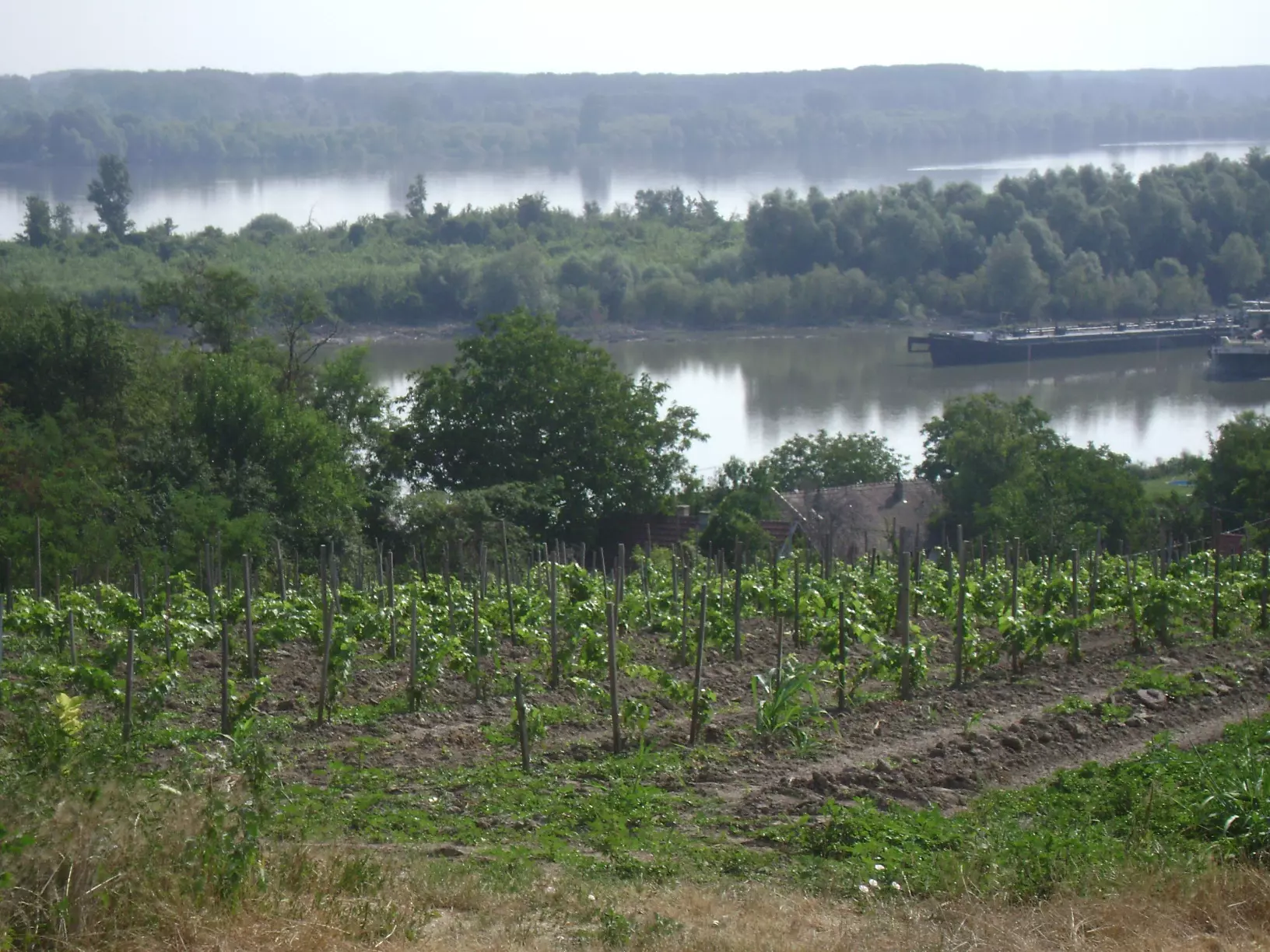 Prodajavinaivinarstvo,Vukovar,Vukovarsko-srijemskažupanija3