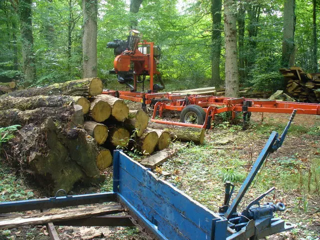 Programpodovaiprogramlamperije,Lukovdol,Primorskogoranskažupanija,Hrvatska3
