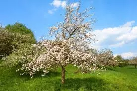 Proizvodizazaštituvrtova,šumateostalepoljoprivredneiobradivepovršineodšteta,KloštarIvanić,Hrvatska3 Proizvodizazaštituvrtova,šumateostalepoljoprivredneiobradivepovršineodšteta,KloštarIvanić,Hrvatska3