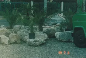 Proizvodnja_deklariranih_sadnica