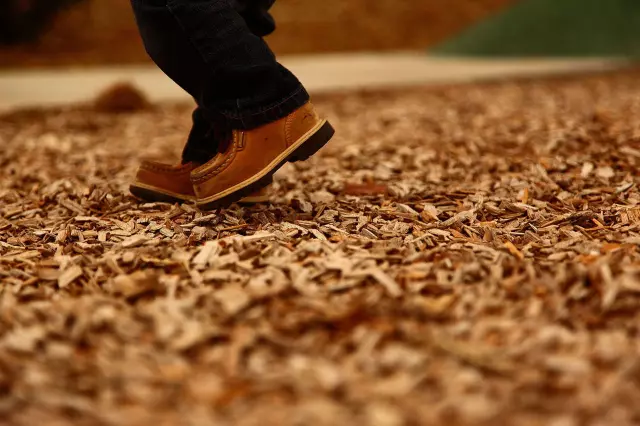 Proizvodnjadrvnesječke,čišćenjezapuštenihterena,Ferdinandovac2