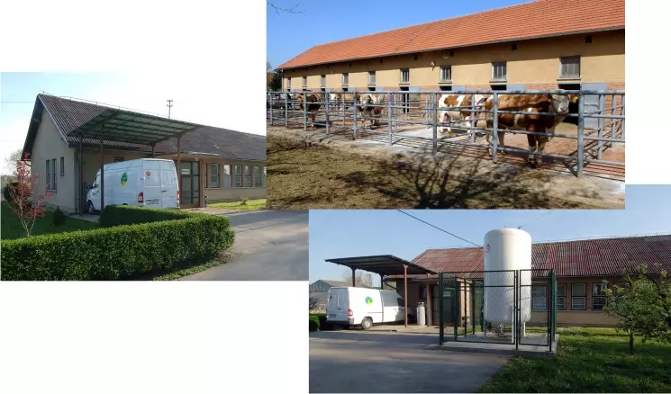 Proizvodnjaidistribucijasmrznutogsjemenabikova,Varaždin,Hrvatska3 Proizvodnjaidistribucijasmrznutogsjemenabikova,Varaždin,Hrvatska3