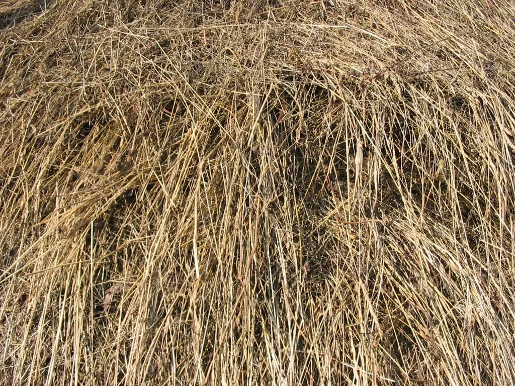 ProizvodnjaiprodajasijenaKarlovačkažupanija1