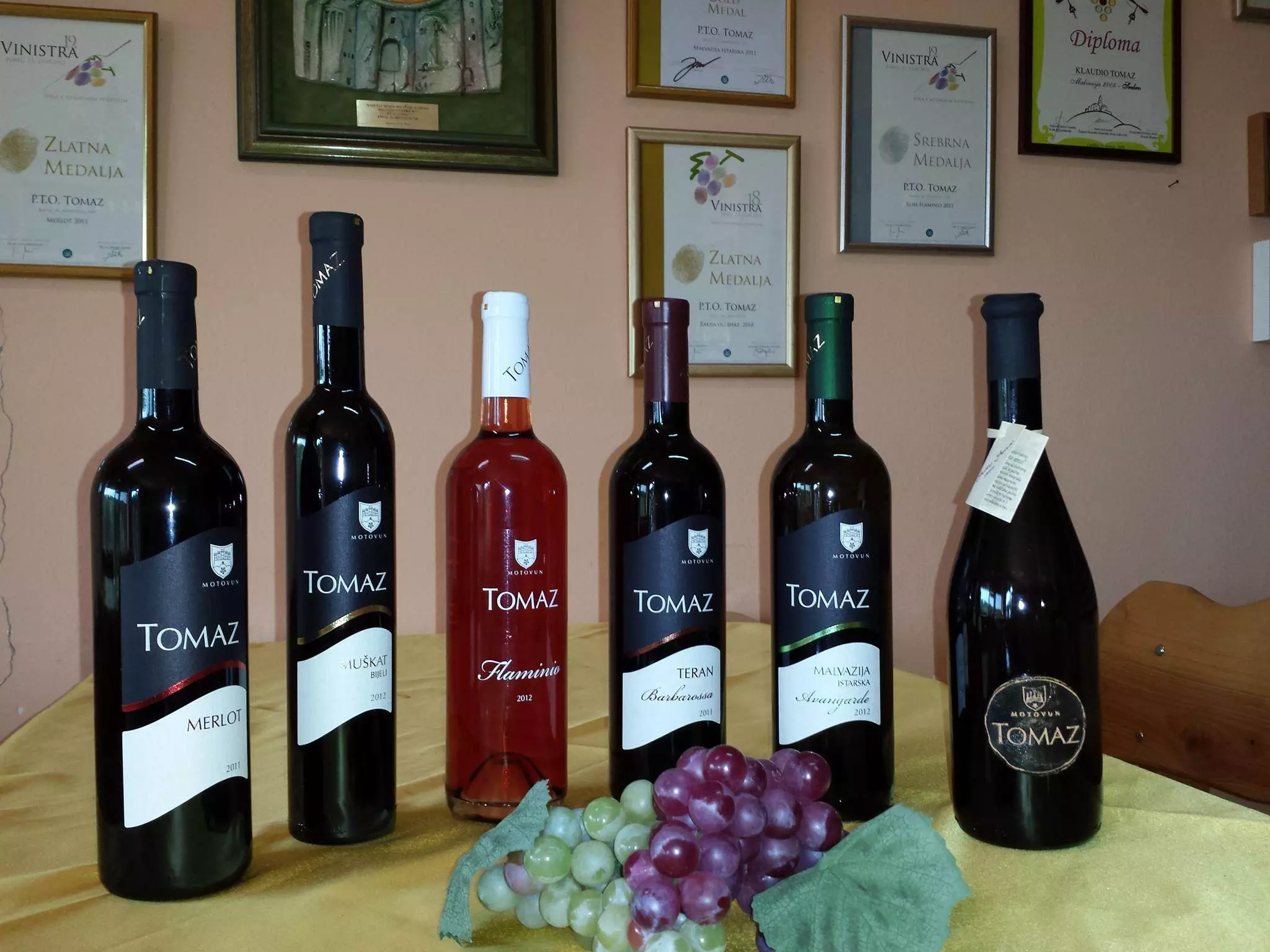 Proizvodnjaiprodajavina,Motovun